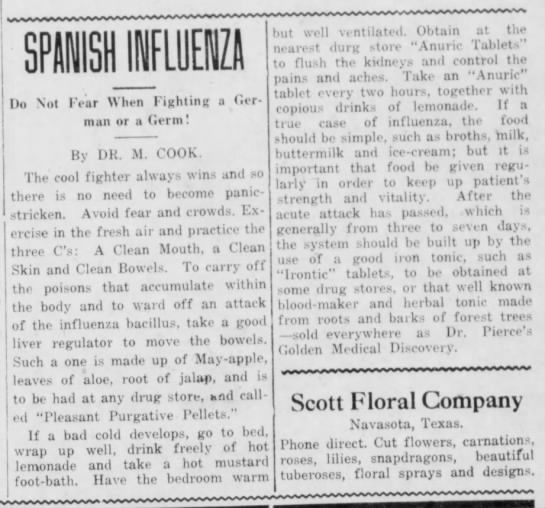 Spanish Flu The Eagle Nov. 13, 1918.jfif